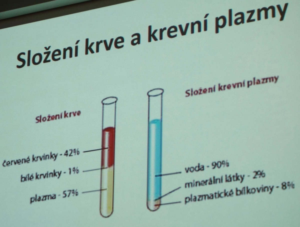 krev_ilu